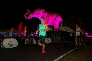 BIB: 
                            <button type="button" onclick="openModal(26535184)" class="btn btn-primary btn-sm float-right btn-popup" data-toggle="modal" data-target=".modal-high-quality">
                        <i class="fas fa-shopping-cart"></i> Add to Cart
                    </button>
                                            <button type="button" onclick="isThisMe(26535184, true)" class="btn btn-success btn-sm float-right btn-popup btn-isme hidden" data-toggle="tooltip" data-placement="bottom" title="นี่คือรูปของคุณใช่ไหม คลิกที่นี่เพื่อเอาเข้าอัลบั้ม">
                        <i class="fas fa-plus"></i> Add to album
                    </button>
                    <button type="button" onclick="isThisMe(26535184, false)" class="btn btn-warning btn-sm float-right btn-popup btn-isnotme hidden">
                        <i class="fas fa-ban"></i> Remove from album
                    </button>